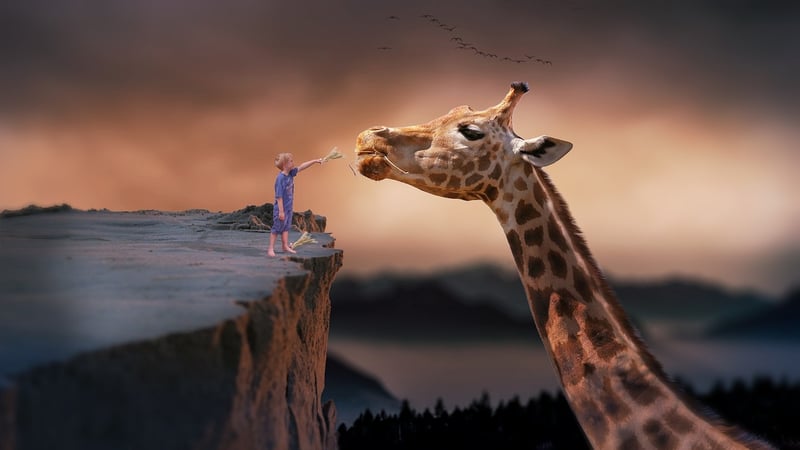 Imaginative designs